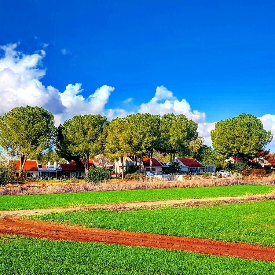 Bed and Breakfast Kibbutz Nachshon Zewnętrze zdjęcie