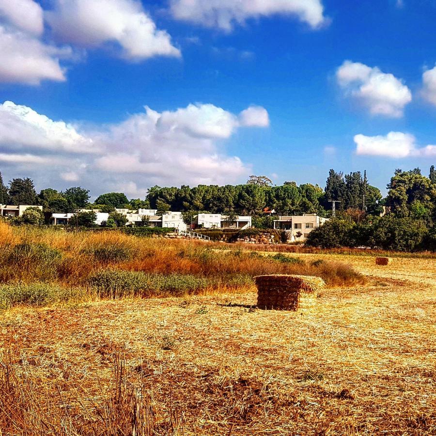 Bed and Breakfast Kibbutz Nachshon Zewnętrze zdjęcie