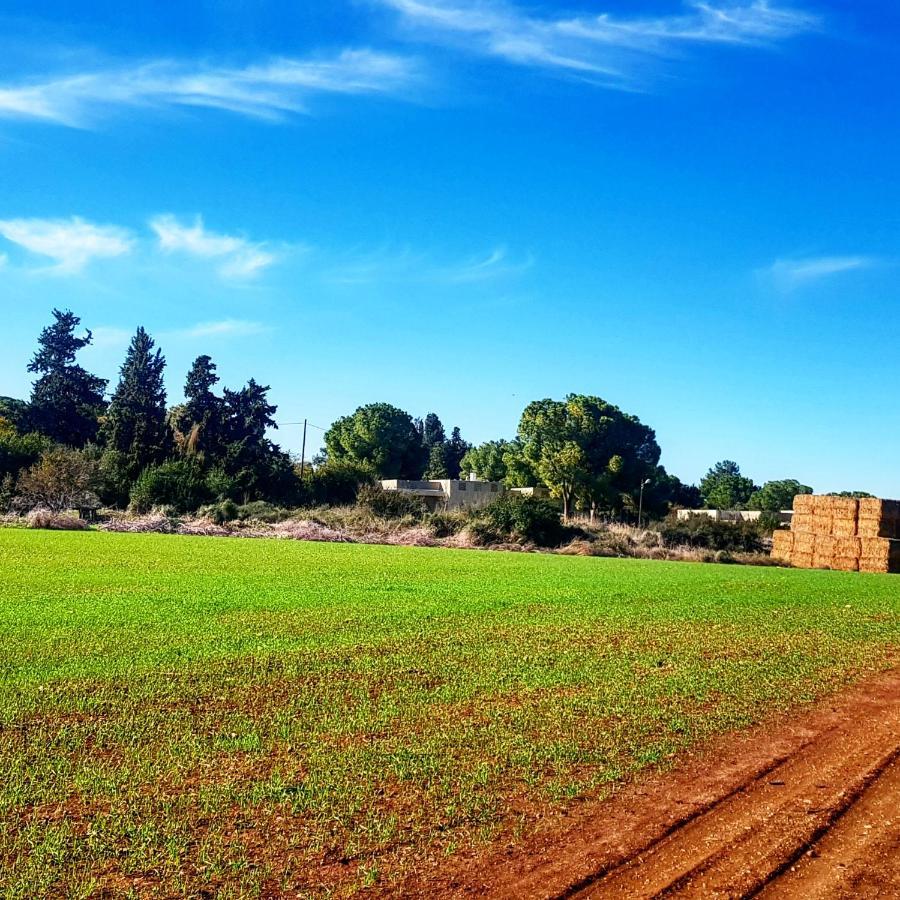 Bed and Breakfast Kibbutz Nachshon Zewnętrze zdjęcie